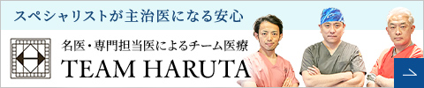 TEAM HARUTA